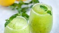 Aloe Vera Lemonade Slush Aloe Vera Lemonade Slush