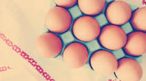 Sharon Lurie: Recipes (Perogen) – The Shabbat Project Sharon Lurie: Recipes (Perogen) – The Shabbat Project