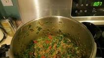 Saag Gosht (Lamb with Spinach Sauce) in the Pressure Cooker Saag Gosht (Lamb with Spinach Sauce) in the Pressure Cooker