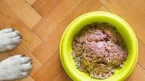 8 Easy Homemade Dog And Cat Food Recipes For Your Pets 8 Easy Homemade Dog And Cat Food Recipes For Your Pets