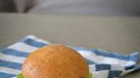 Homemade Hamburger Homemade Hamburger