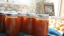 Homemade Apricot Syrup Recipe Homemade Apricot Syrup Recipe