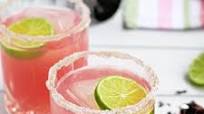 Hibiscus Margarita Hibiscus Margarita