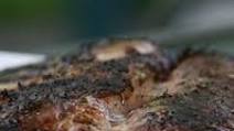 Grilled Rack of Lamb with Mustard Crust Grilled Rack of Lamb with Mustard Crust