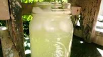 Lemonade Made With Stevia Lemonade Made With Stevia