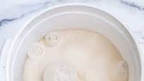 basic overnight pizza dough basic overnight pizza dough