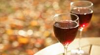 Instant Pot Wine Recipe Instant Pot Wine Recipe