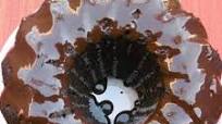 Scrumptious Walnut – Chocolate Bundt Cake Scrumptious Walnut – Chocolate Bundt Cake