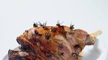 Slow cooker leg of lamb Slow cooker leg of lamb