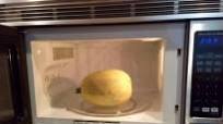 How To Cook Spaghetti Squash in the Microwave How To Cook Spaghetti Squash in the Microwave