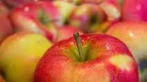 Apple Crisp USDA Apple Crisp USDA