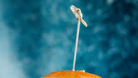 Salmon Burger Toppings Salmon Burger Toppings