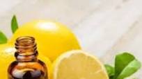 The 5 Best Substitutes for Lemon Oil The 5 Best Substitutes for Lemon Oil