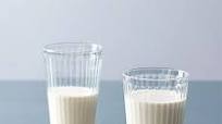 Almond Milk Almond Milk