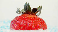 Buzzed Strawberry Bites Buzzed Strawberry Bites