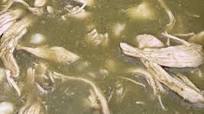 Recipe of Award-winning Pozole verde de pollo Recipe of Award-winning Pozole verde de pollo
