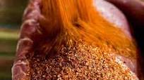 The Best BBQ Dry Rub The Best BBQ Dry Rub