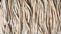 Homemade Soba Noodles Homemade Soba Noodles