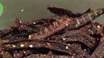 Jerky Lovers Beef Jerky - Sweet & Spicy Recipe - (4.2/5) Jerky Lovers Beef Jerky - Sweet & Spicy Recipe - (4.2/5)