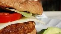 Seasoned Turkey Burgers Seasoned Turkey Burgers