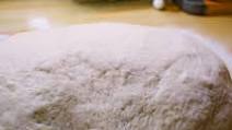 Homemade Pizza Dough Homemade Pizza Dough