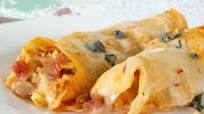 Chicken Enchiladas in Homemade Cream Sauce Chicken Enchiladas in Homemade Cream Sauce