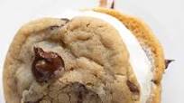 Chipwich Cookie Ice Cream Sandwich Chipwich Cookie Ice Cream Sandwich