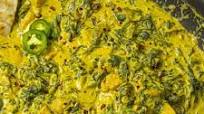 Chicken Saag Recipe Chicken Saag Recipe