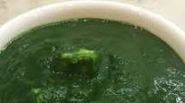 Palak Paneer Palak Paneer