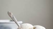 Vegan Cardamom Ice Cream Vegan Cardamom Ice Cream