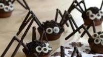 Araignée tout chocolat Araignée tout chocolat