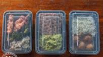$75 Whole Foods Meal Plan Challenge $75 Whole Foods Meal Plan Challenge