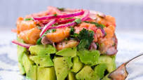 Salmon Avocado Tartare, the Perfect Appetizer Salmon Avocado Tartare, the Perfect Appetizer