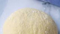 Homemade Pizza Dough - Recipe Homemade Pizza Dough - Recipe