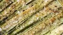 Parmesan Roasted Leeks Parmesan Roasted Leeks