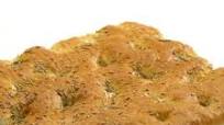 Focaccia Focaccia