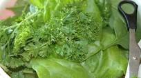 My Favorite Green Smoothie My Favorite Green Smoothie