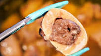 Beef Bone Marrow Recipe Beef Bone Marrow Recipe