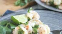 Cilantro Lime Shrimp Cilantro Lime Shrimp