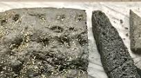Charcoal Focaccia Charcoal Focaccia