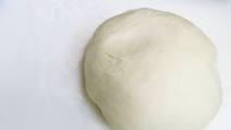 Basic Pizza Dough (made in food processor) Basic Pizza Dough (made in food processor)