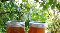 Roasted Chicken Broth Roasted Chicken Broth
