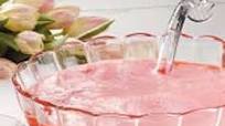 Red Cream Soda Punch Red Cream Soda Punch