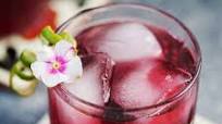 Hibiscus Margarita Hibiscus Margarita
