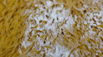 Porcini Mushroom Fettuccine Porcini Mushroom Fettuccine