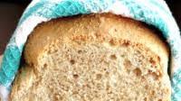 The Only Healthy Whole Wheat Bread Recipe You'll Ever Need The Only Healthy Whole Wheat Bread Recipe You'll Ever Need