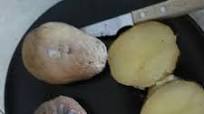 Patatas asadas a la brasa Patatas asadas a la brasa