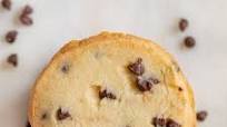 Chocolate Chip Shortbread Cookies Chocolate Chip Shortbread Cookies