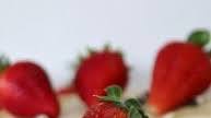 PHILADELPHIA Classic Cheesecake: Best Recipe~! PHILADELPHIA Classic Cheesecake: Best Recipe~!