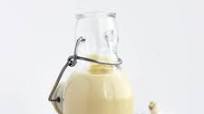 Garlic and Lemon Hummus Salad Dressing Garlic and Lemon Hummus Salad Dressing